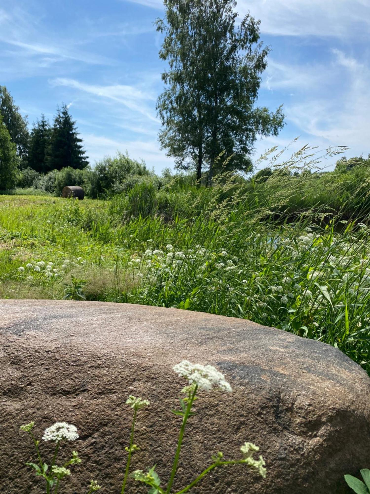 Suurkivi Nature Escape Haademeeste Exterior photo